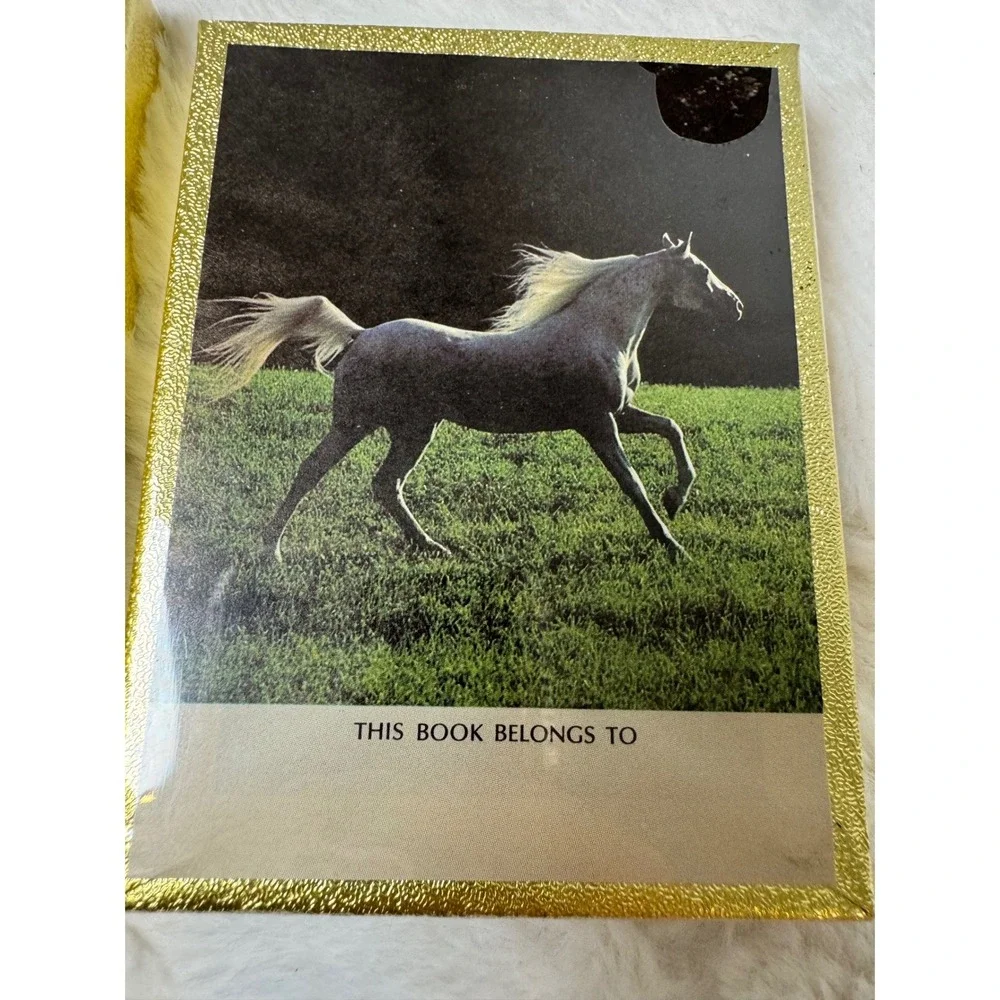 Vintage Antioch Bookplate Company Horse Bookplates Set of 2 Boxes Made in USA